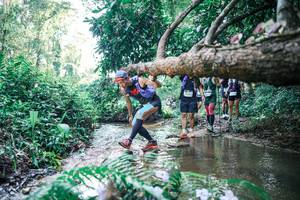 BIB: 
                            <button type="button" onclick="openModal(25444175)" class="btn btn-primary btn-sm float-right btn-popup" data-toggle="modal" data-target=".modal-high-quality">
                        <i class="fas fa-shopping-cart"></i> Add to Cart
                    </button>
                                            <button type="button" onclick="isThisMe(25444175, true)" class="btn btn-success btn-sm float-right btn-popup btn-isme hidden" data-toggle="tooltip" data-placement="bottom" title="นี่คือรูปของคุณใช่ไหม คลิกที่นี่เพื่อเอาเข้าอัลบั้ม">
                        <i class="fas fa-plus"></i> Add to album
                    </button>
                    <button type="button" onclick="isThisMe(25444175, false)" class="btn btn-warning btn-sm float-right btn-popup btn-isnotme hidden">
                        <i class="fas fa-ban"></i> Remove from album
                    </button>